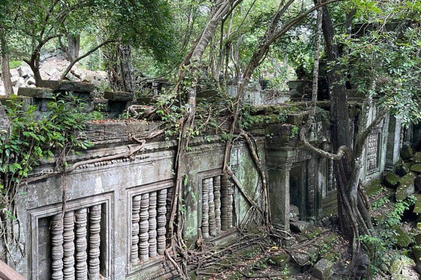 Ancient stone architecture with intricate carvings, overgrown with vegetation. 3