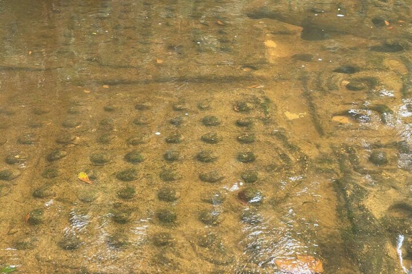 Une étendue d'eau peu profonde présentant des motifs circulaires visibles sur le fond, probablement dus à des algues ou à des sédiments. 3
