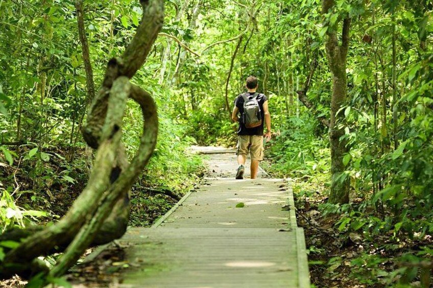 Kuala Lumpur: Taman Negara National Park Trek & Boat Ride 2