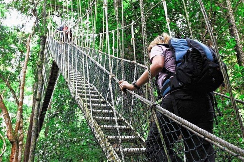 Kuala Lumpur: Taman Negara National Park Trek & Boat Ride 1