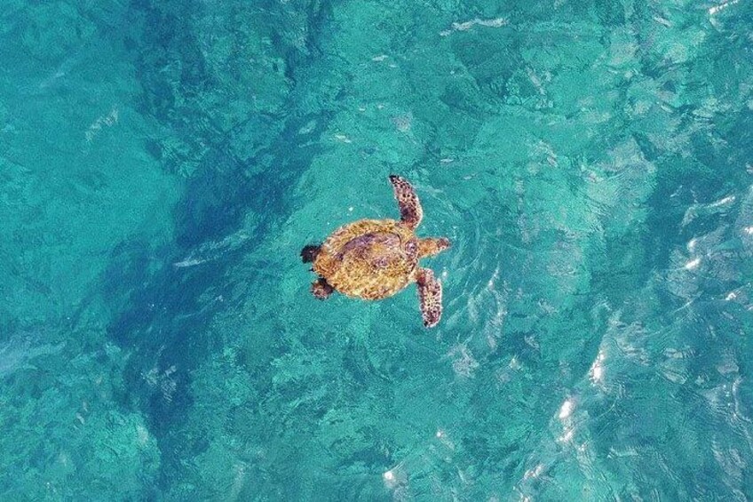 30 minute Reef Scenic Flight 3