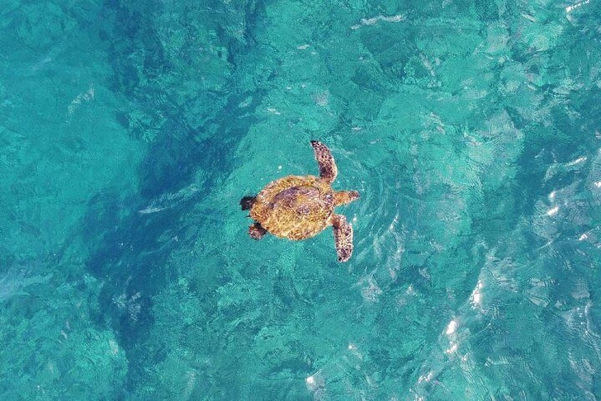 30 minute Reef Scenic Flight 2