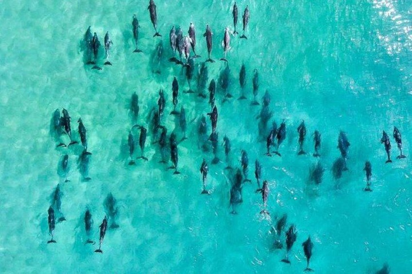 30 minute Reef Scenic Flight 5
