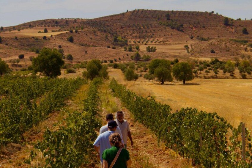 Visit Cuenca and a Vineyard in Spanish Tuscany from Madrid 2