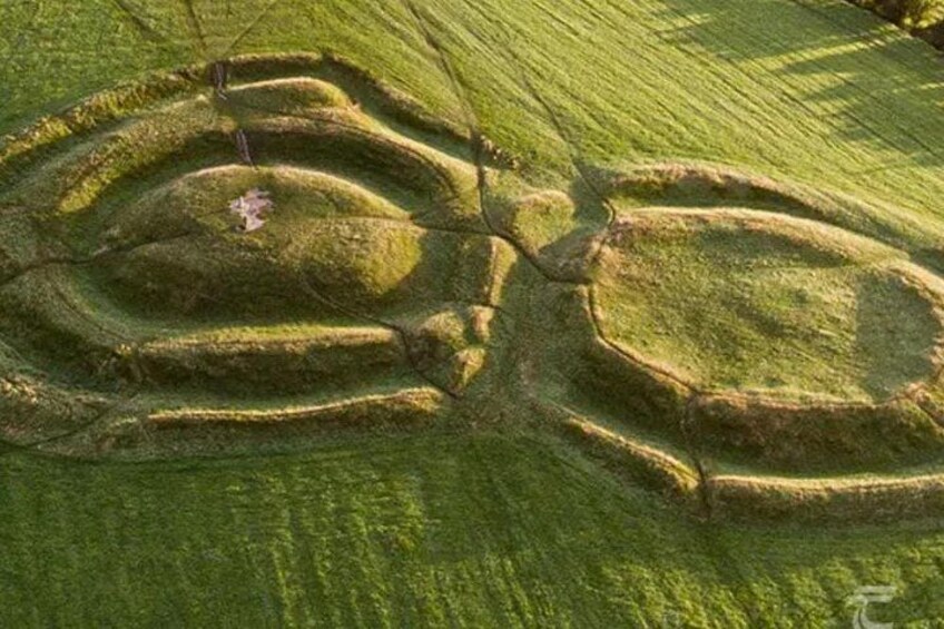 Un campo con diseños circulares en los cultivos. 5