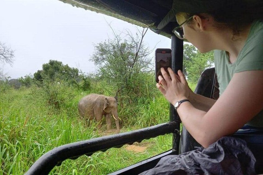 A person in a safari vehicle, taking a photo of an elephant in a grassy area. 4