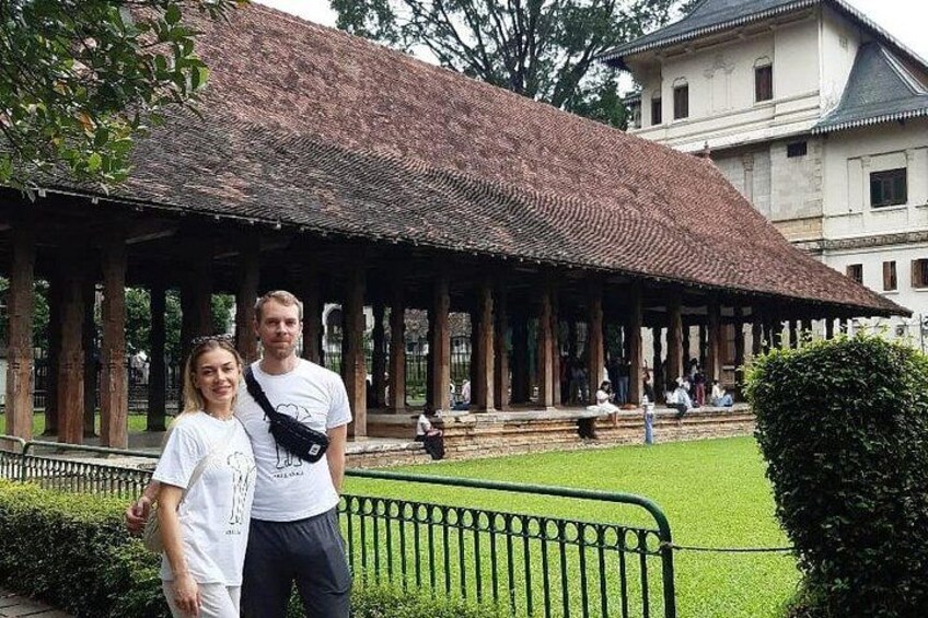A pavilion with a tiled roof, surrounded by a green lawn and a metal fence. 5