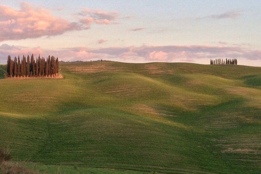 Rolling green hills, a line of trees, and a clear sky. 4