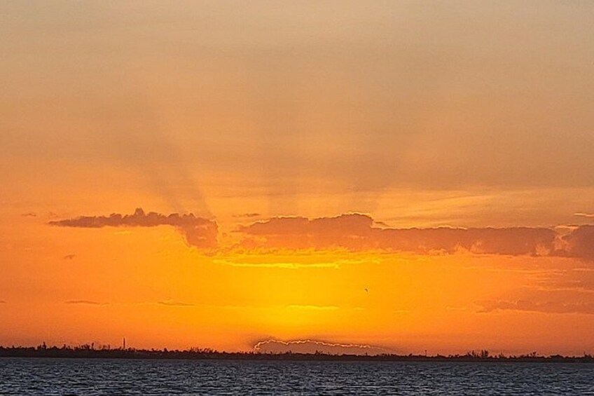 Fort Myers Beach Sunset and Dolphin Watching Cruise 3