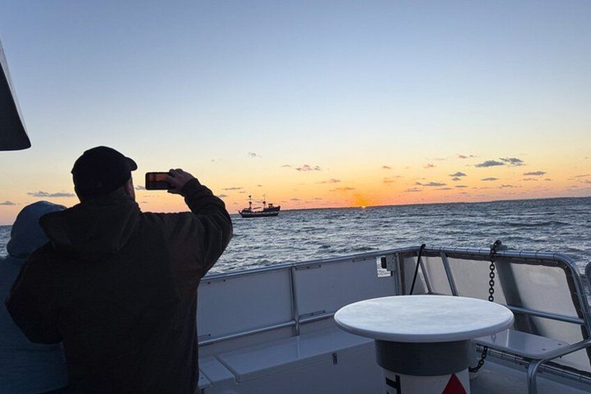 Fort Myers Beach Sunset and Dolphin Watching Cruise 2