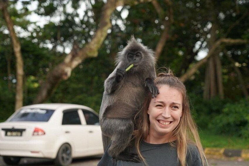A person holding a monkey with a car in the background. 2