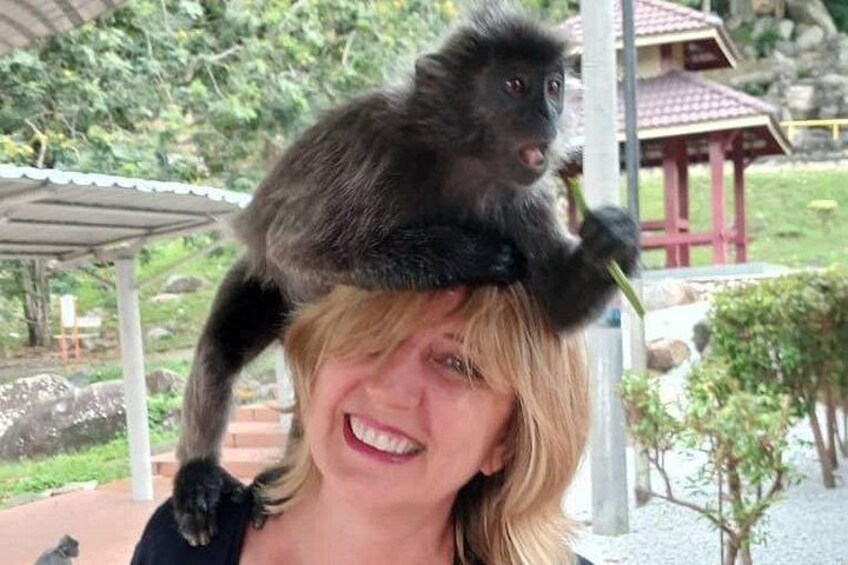 A person with a monkey on their shoulder. 5
