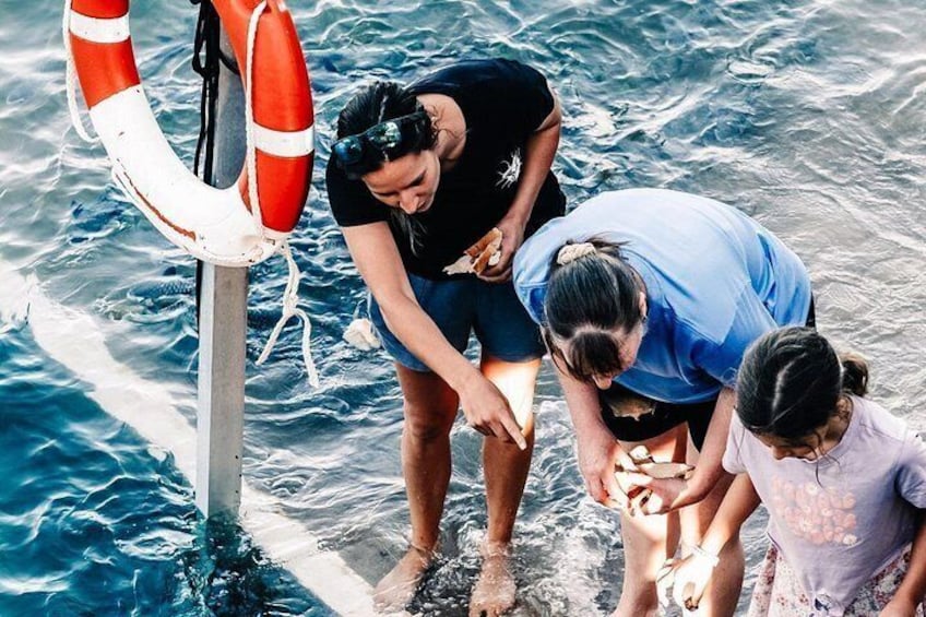 Darwin: Feed Fish at Aquascene. Tickle Your Toes at Doctors Gully 4