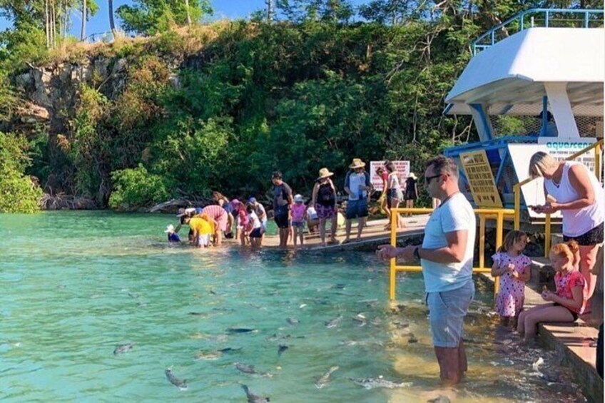 Darwin: Feed Fish at Aquascene. Tickle Your Toes at Doctors Gully 2