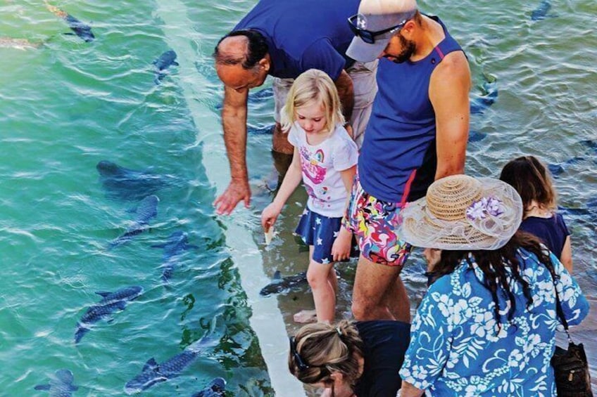 Darwin: Feed Fish at Aquascene. Tickle Your Toes at Doctors Gully 1