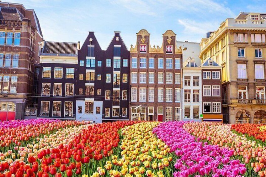 A tulip field in front of historic buildings. 3
