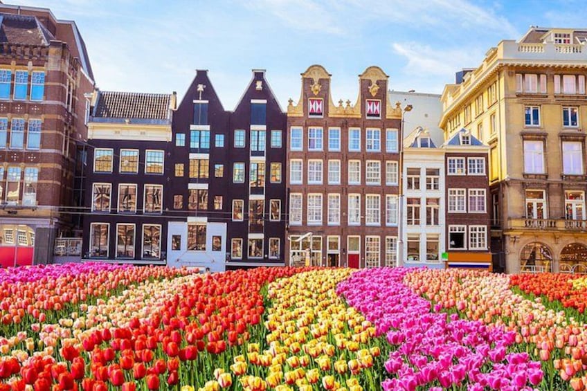 Amsterdam City Top Highlights Guided Bike Tour 5