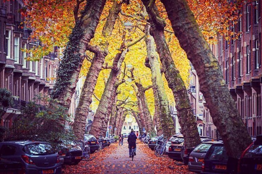 Amsterdam City Top Highlights Guided Bike Tour 3