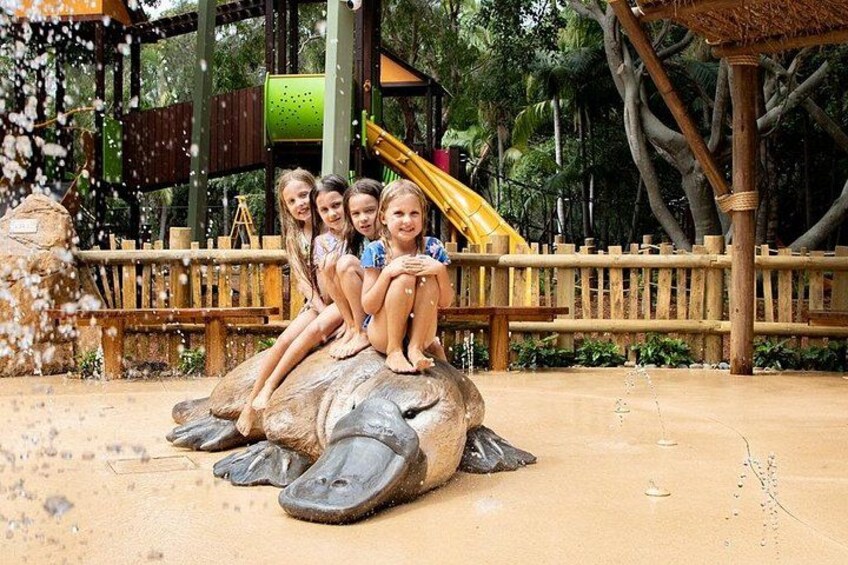 Currumbin Wildlife Sanctuary and Byron Bay Day Tour in Chinese 1