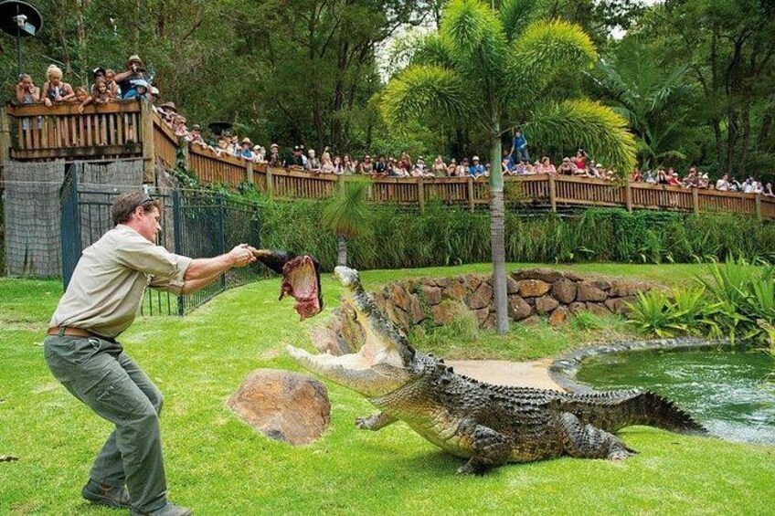 Currumbin Wildlife Sanctuary and Byron Bay Day Tour in Chinese 5