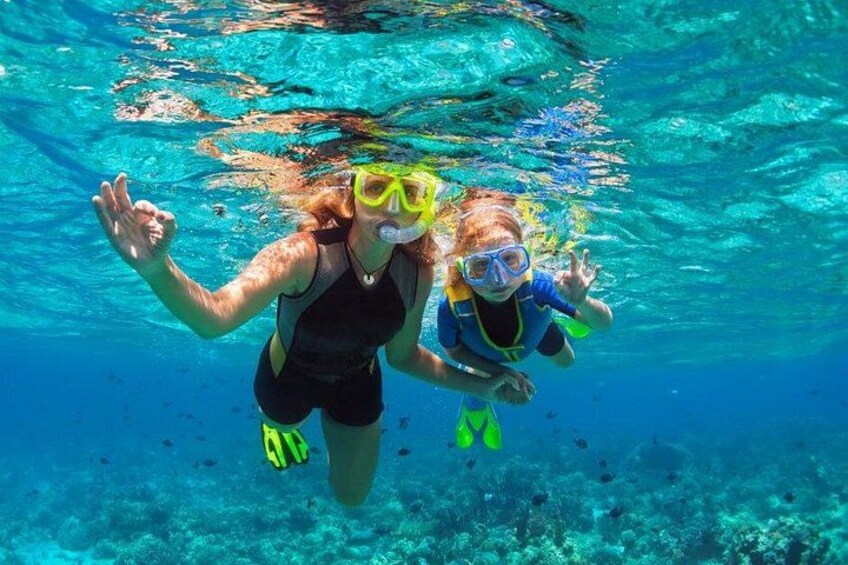 Two people snorkeling underwater with clear water and a coral reef in the background. 5