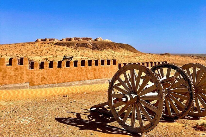 Guided Tour to Ancient Fortresses and Cotton Fields with a Local 5