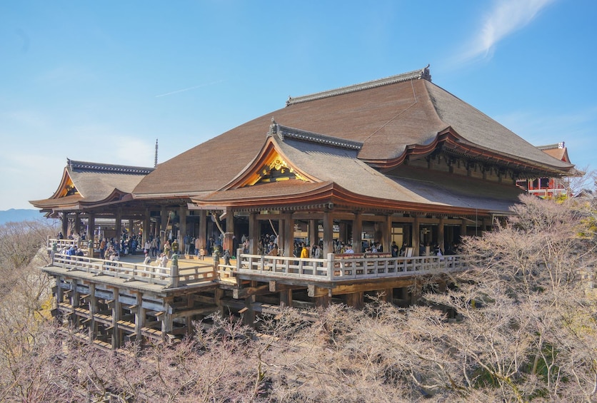 Kyoto by bus: Nijo Castle, Bamboo Grove & Fushimi Inari (EN/ES)             3