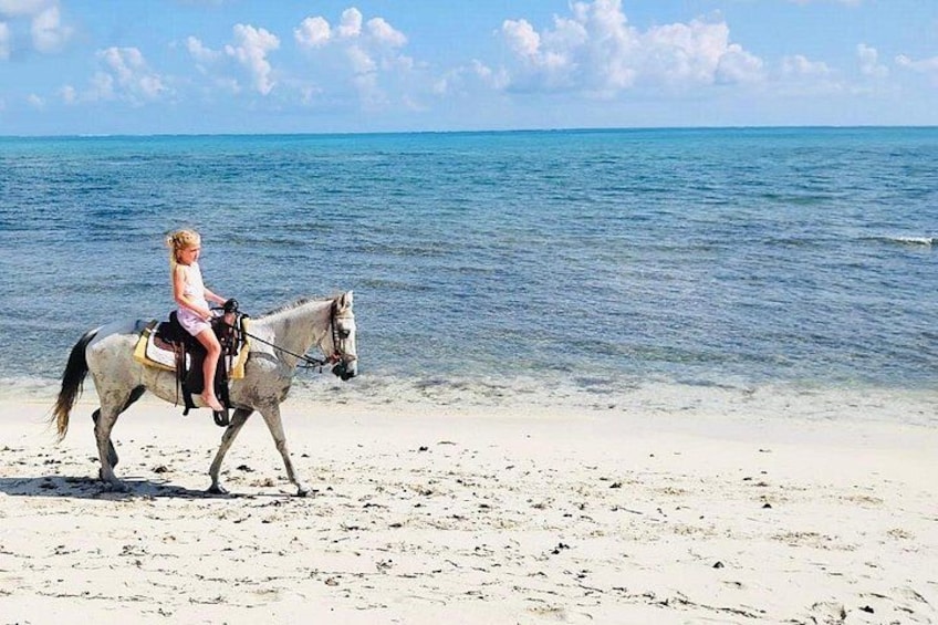 A child riding a horse on a sandy beach with the ocean in the background. 3