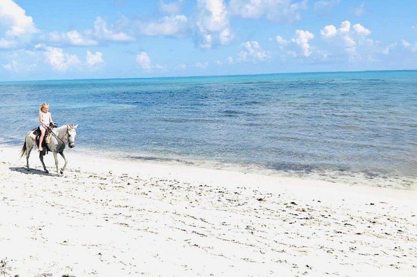 A person riding a horse on a beach with clear blue water and a sandy shore. 2