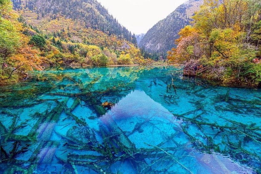 A clear mountain lake surrounded by autumn-colored trees. 4