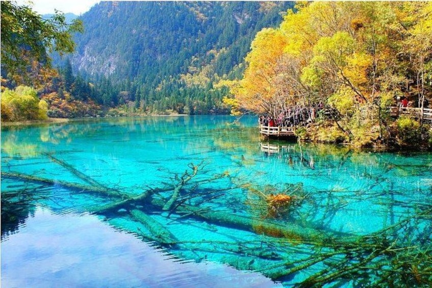 A clear lake surrounded by autumn-colored trees and a wooden dock. 3