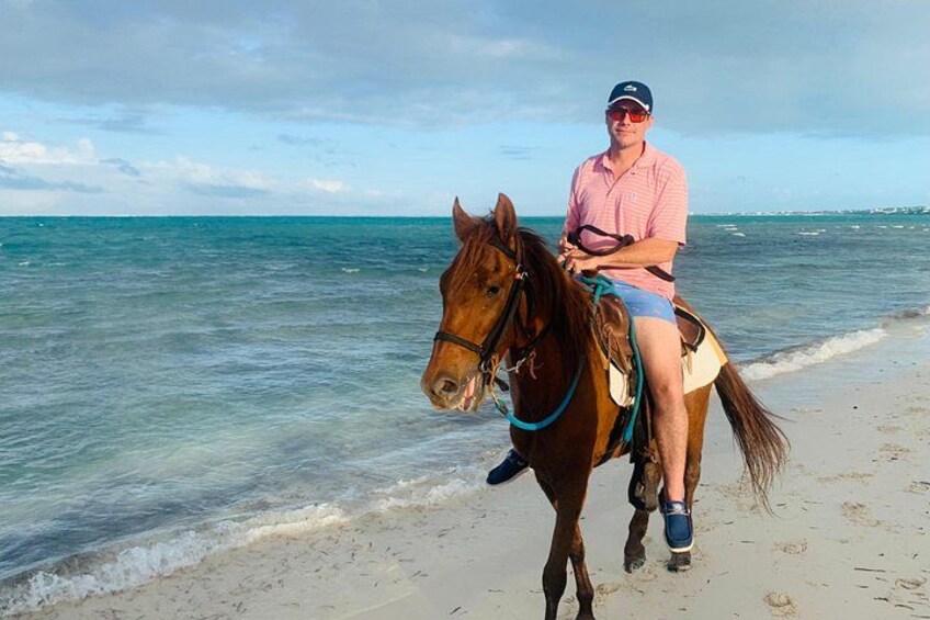 A person riding a horse on a beach with the ocean in the background. 3