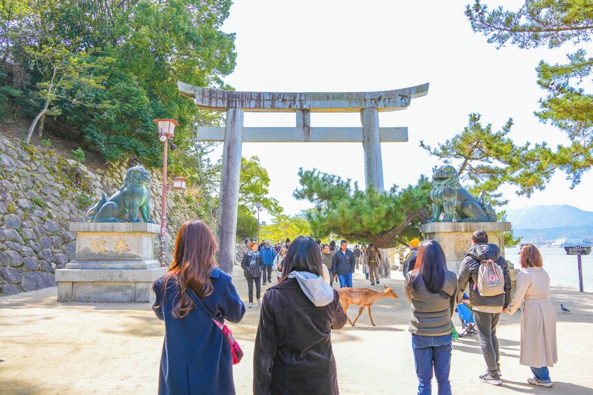 Hiroshima & Miyajima Guided tour: Itsukushima Shrine & Ferry 2