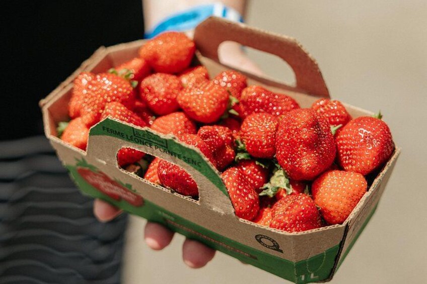 VIP Agritourism Food Tour of Île d’Orléans & Montmorency Falls 2