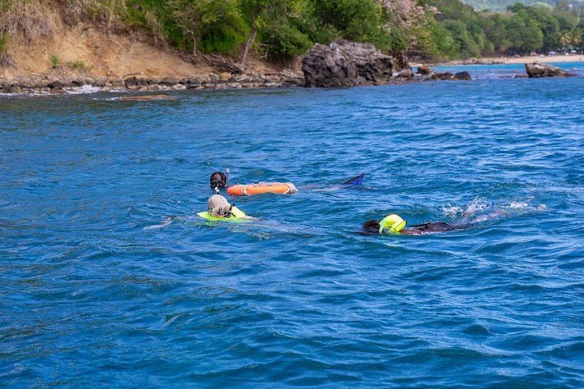 Two people swimming in a body of water with a rocky shoreline and greenery in the background. 3