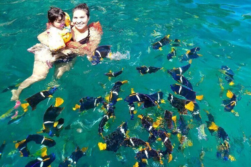 Two people swimming with a school of fish in clear blue water. 1
