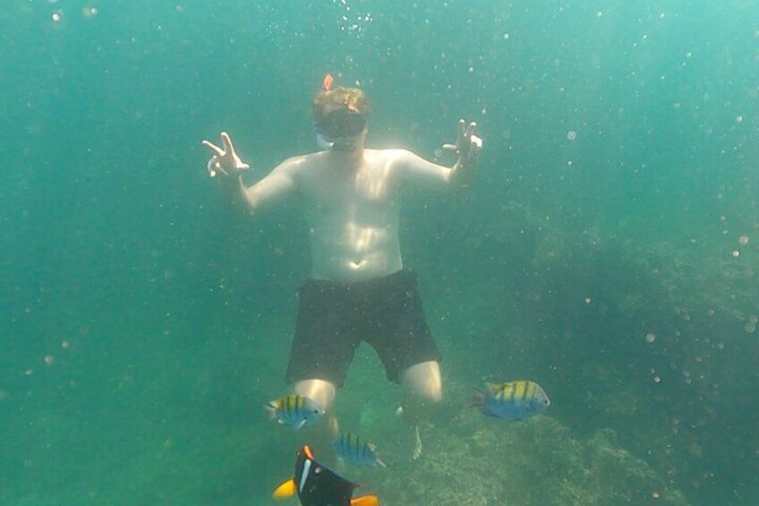 Snorkeling at Los Arcos 5 islands Hidden Beach and Cliff Jumping 5