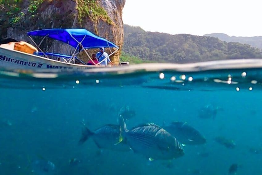 Snorkeling at Los Arcos 5 islands Hidden Beach and Cliff Jumping 3