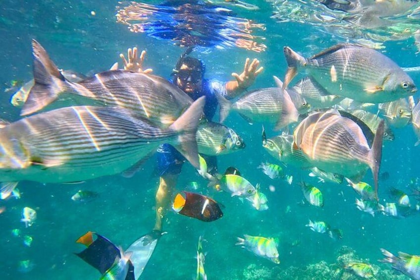 Snorkeling at Los Arcos 5 islands Hidden Beach and Cliff Jumping 1