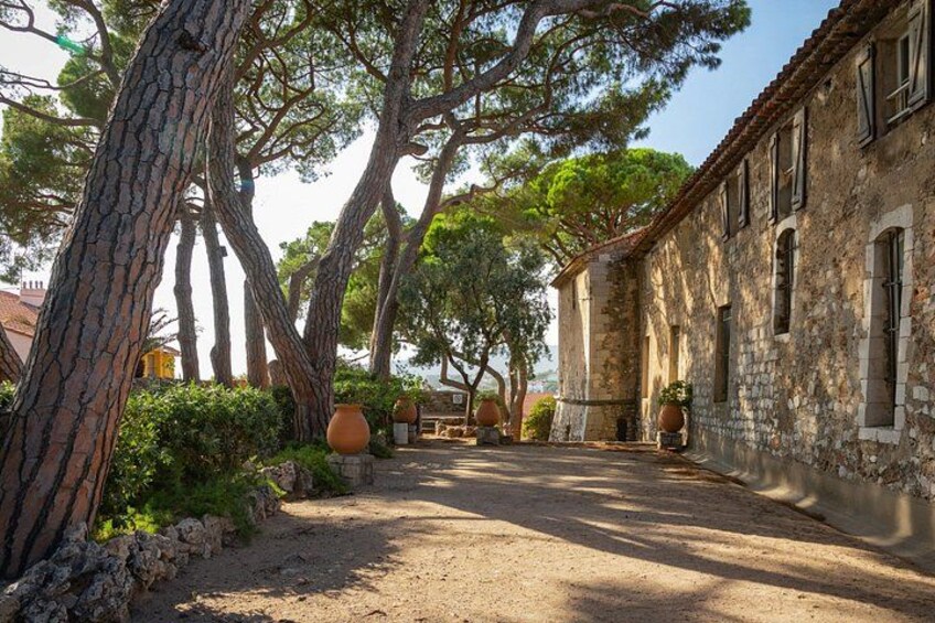 Cannes City and Culinary Delights Tour from Cruise Port 4