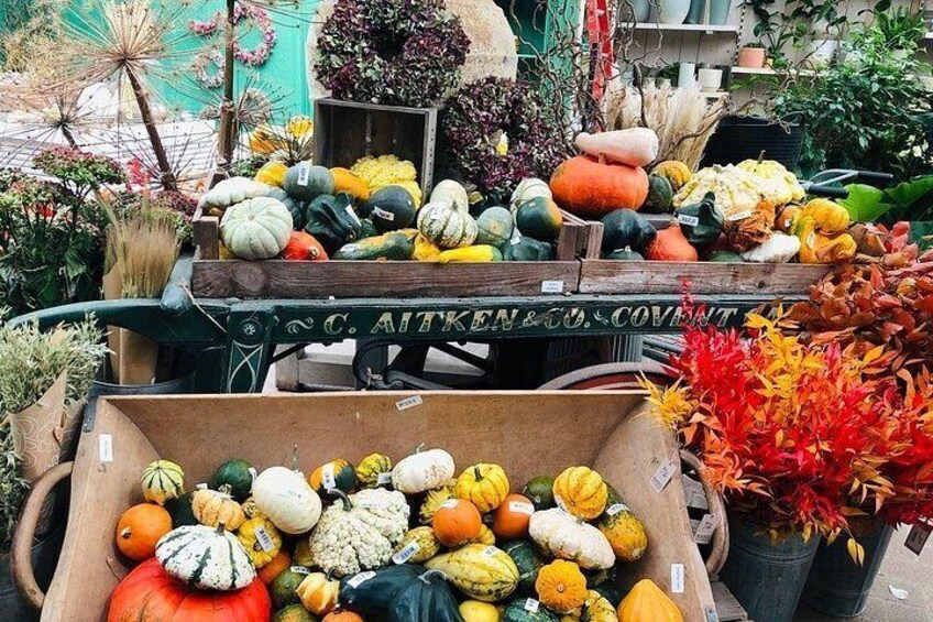 burford, cotswolds garden centre 4