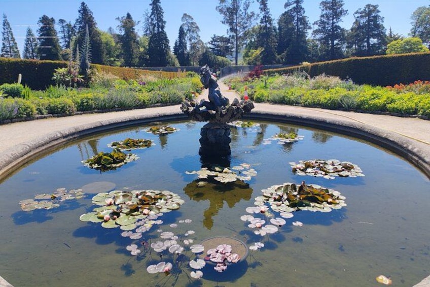 Wicklow Mountains, Glendalough & Powerscourt Garden Private Tour 4