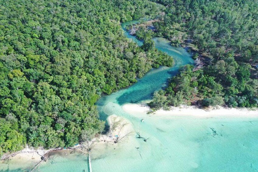 Eine Küstenlandschaft mit dichtem grünen Wald, einem gewundenen Fluss und einem Sandstrand. 3