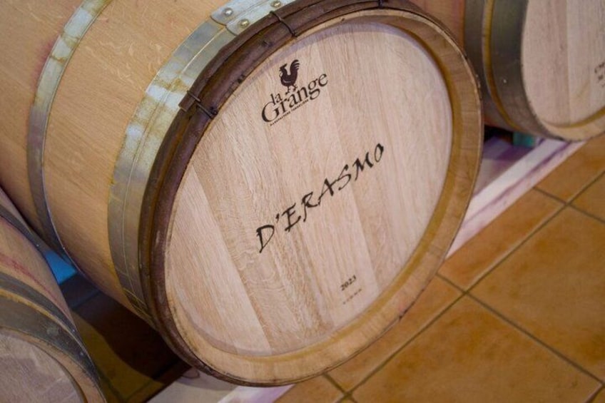 Wine & Local Flavors Tour with Tasting at Cantina D’Erasmo 2
