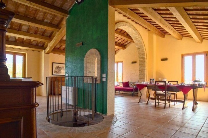 Wine & Local Flavors Tour with Tasting at Cantina D’Erasmo 3