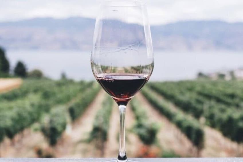Wine & Local Flavors Tour with Tasting at Cantina D’Erasmo 4