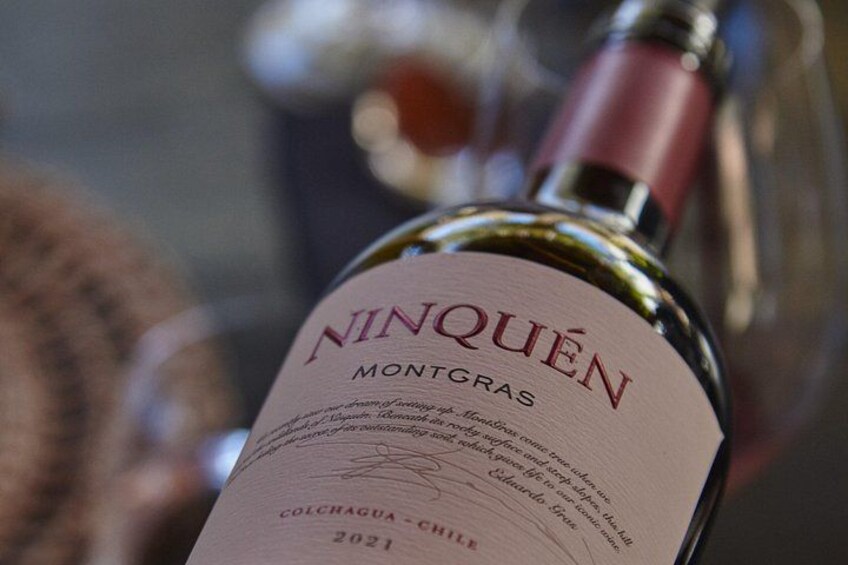 Private Wine Tour MontGras in Colchagua Valley from Santiago 2
