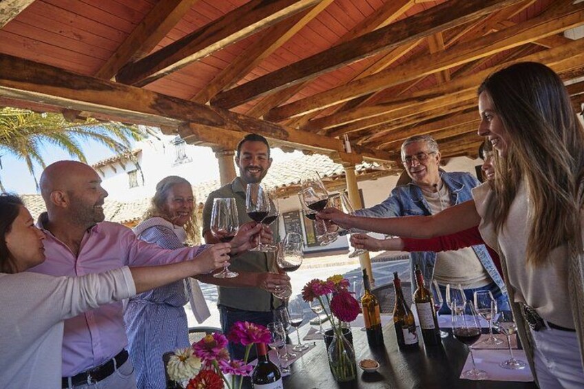 A group of people toasting with wine glasses under a wooden pergola. 3