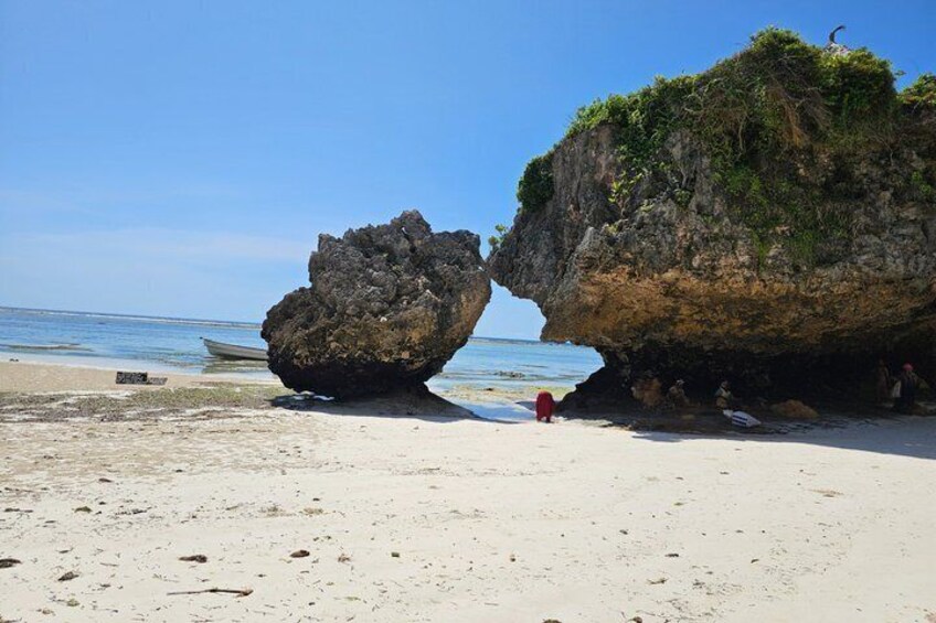 Explore Whole Zanzibar Island in One day 2