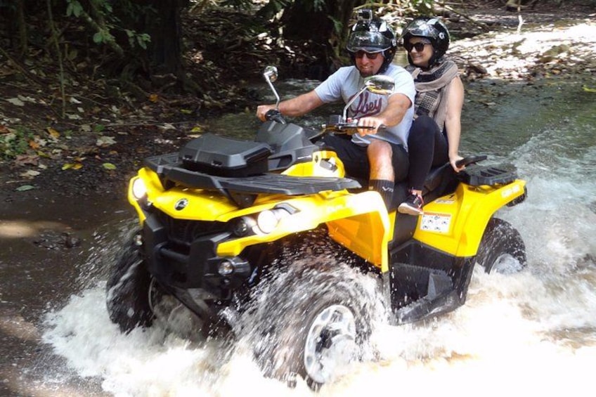 Grand Tour Quad Excursion in Moorea (Single or Two-Seater) 2